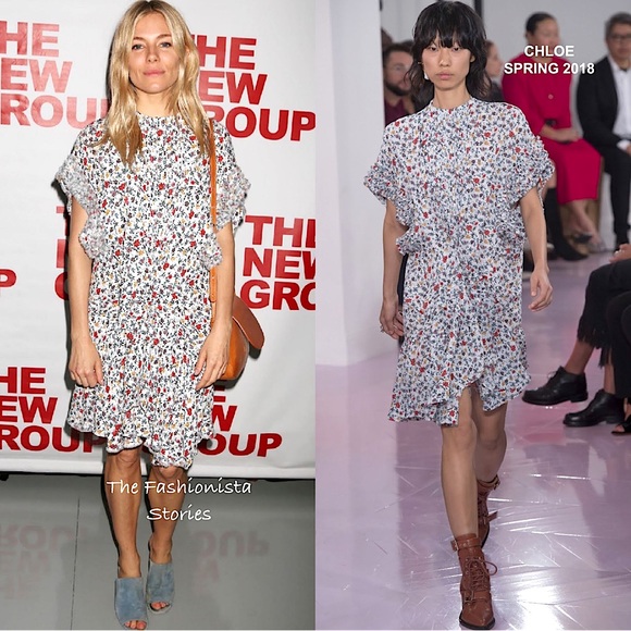 Chloe Dresses & Skirts - ✨ CHLOE ss 18 runway Ruffle-Trimmed Pleated Floral-Print Georgette Dress